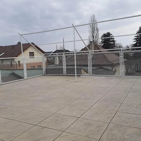 Arena * Siofok