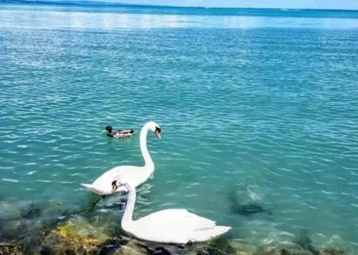 Arena Case de vacanță Siófok